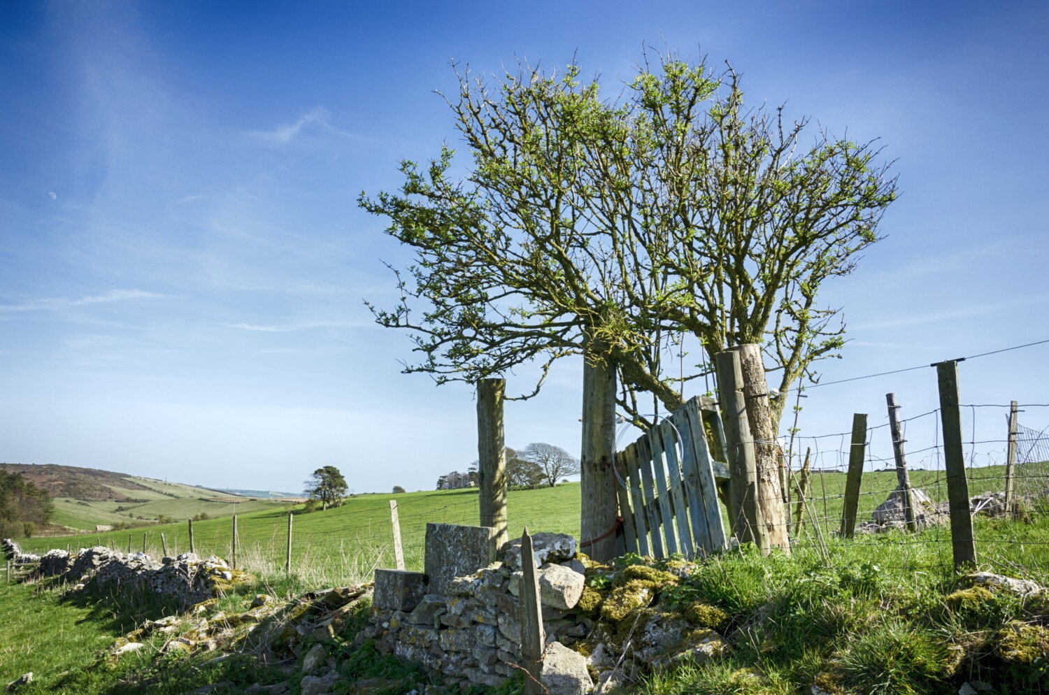 Dorchester in Dorset