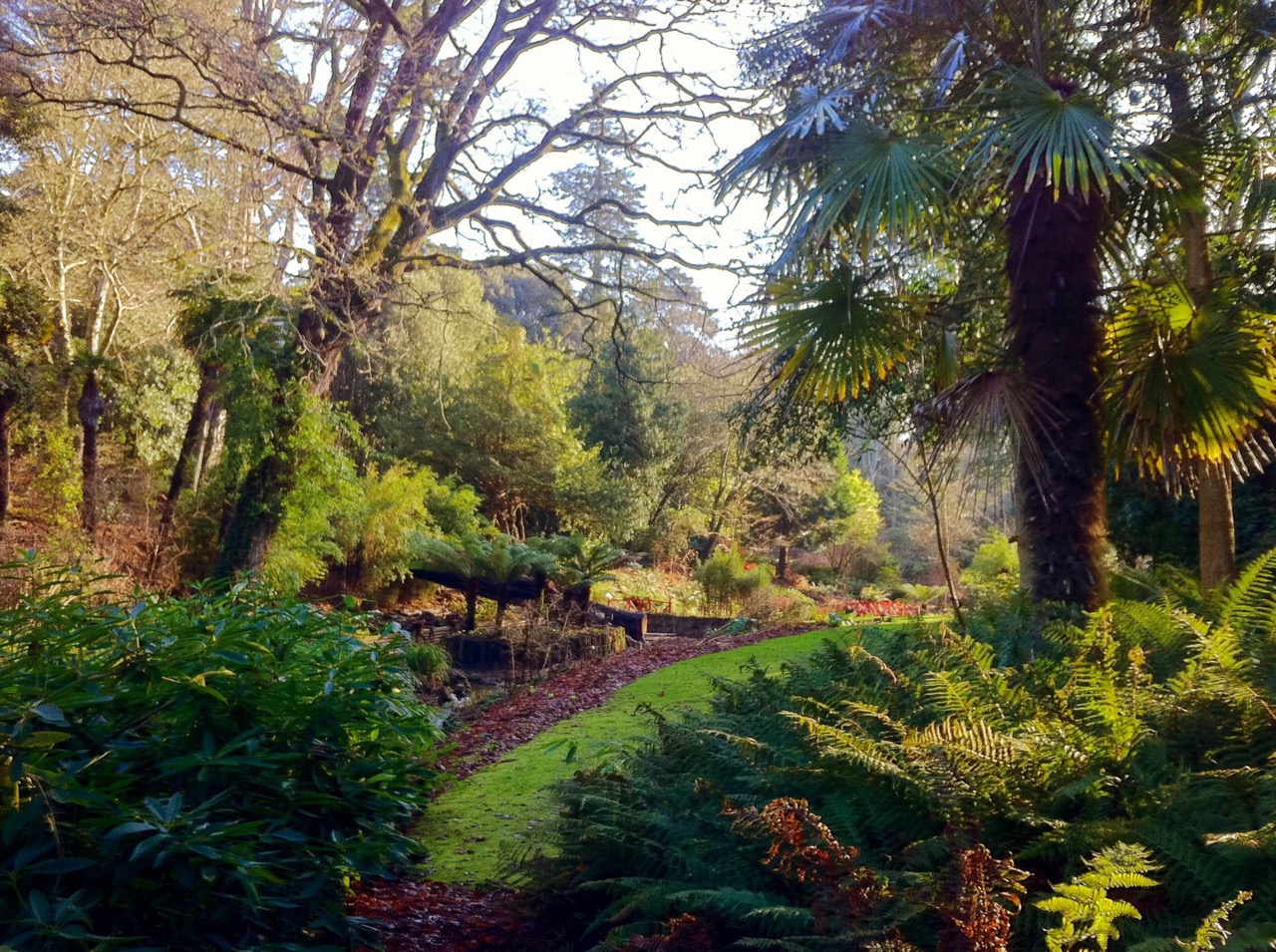 Abbotsbury Subtropical Gardens Large